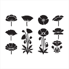 set of flowers vector illustration