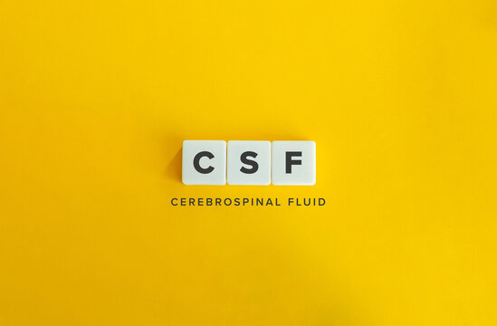 Cerebrospinal Fluid, CSF. Block Letter Tiles on Flat Background. Minimalist Aesthetics.