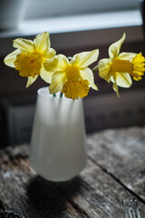 yellow daffodils in a vase