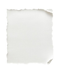 Obraz premium Textured Paper Sheet with Frayed Edges on transparent background 