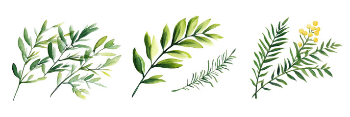 Detailed watercolor illustrations of various leaves showcasing different shapes and colors in a fresh natural setting