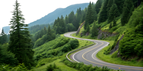 Curvy mountain road with greenery, cut out

