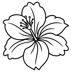 Hibiscus flower in tropical style line art vector illustration 