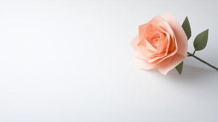 Fototapeta premium Elegant Paper Rose with Soft Peach Color on Minimal Background