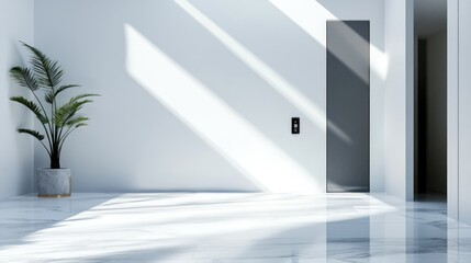 Sunlit Minimalist Interior: White Walls, Marble Floor, Gray Door, and Palm Plant