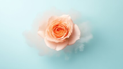 Fototapeta premium Soft Pink Rose on Light Blue Background with Dreamy Cloud Effect