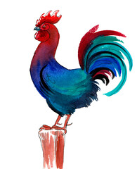 Colourful rooster. Hand drawn watercolour illustration
