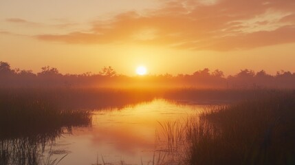 Obraz premium Golden Hour Serenity: A Misty Sunrise Over a Tranquil Wetland