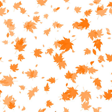 Yellow wedge leaves on a white background, seamless mattern