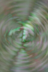 Vibrant swirls of nature create a mesmerizing visual experience