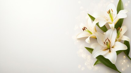 Elegant White Lilies with Soft Background and Gentle Bokeh Effect