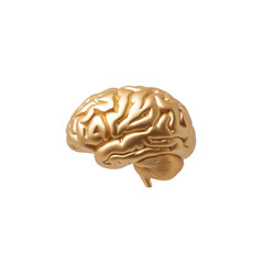 Shiny gold brain model showcasing detailed mind anatomy