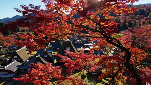 Aerial View of Shirakawa-go in Autumn: A Traditional Japanese Village Amidst Vibrant Foliage