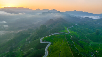 A stunning drone shot of the Gap Road in Munnar, winding through lush green tea estates at sunrise. The golden light highlights the misty landscape, with majestic mountains in the background, creating © Jeni Photography