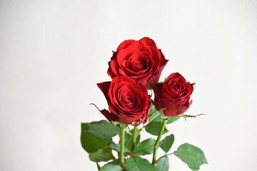 赤い薔薇
