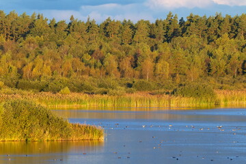 Sonnenaufgang im Herbst auf den Åland Inseln	