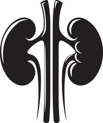 Kidney silhouette icon. Medical, nephrology, and human organ symbol representing renal health, urinary system, and healthcare. Vector EPS file for research and education.