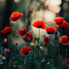 Obraz premium Scarlet blooms