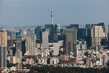 Obraz premium Beautiful super wide aerial view of Tokyo, Japan, rooftops and skyscrapers, with skyline and city scenery, seen from the observation deck in a sunny day with a blue sky, Tokyo Metropolitan urban area