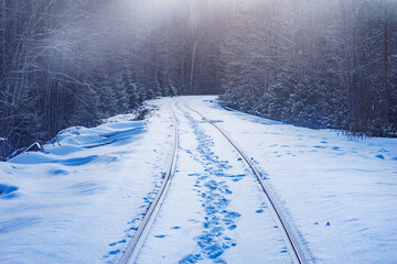 Fototapeta premium Railway track in the forest at winter.