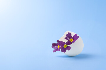 Happy Easter card. White eggshell with purple viola flowers on a blue background with sun rays and a place for text.