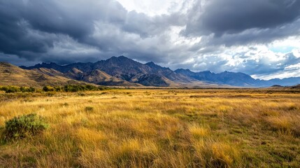 Fototapeta premium A large, open field with a cloudy sky in the background