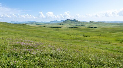 Fototapeta premium Rolling Hills Landscape, Sunny Day, Wildflowers, Nature Background, Travel Poster