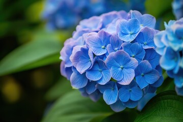 A close-up shot of a colorful blue flower arrangement