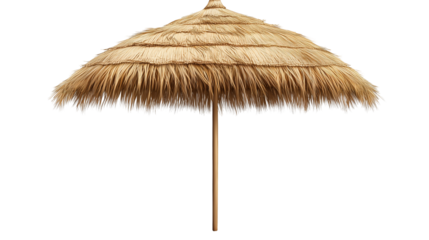Tropical Thatch Umbrella Summer Beach Design sun sea art isolated on transparent background