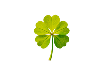 A rare and vibrant clover leaf symbolizing extraordinary luck, prosperity, and good fortune, isolated on a transparent  background