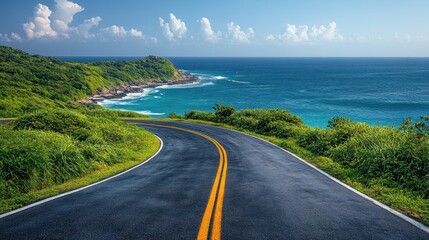 Winding Road to Tropical Coast