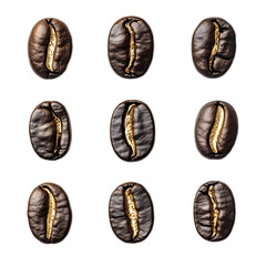 Fototapeta premium Premium Coffee Bean Collection with Elegant Gold Accents, Gourmet Food Element