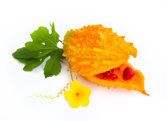 Ripe Open Bitter Melon with Flower and Leaf