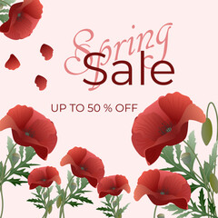 Spring vector discount coupon. 50% off. Luxury minimalist background with poppy flowers in botanical style, organic shapes. Vector background for banner, poster, website and packaging.