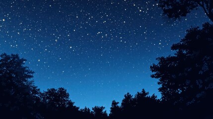 Starry night over forest