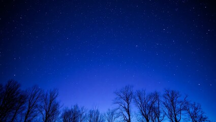 Naklejka premium dark blue Sky with Stars Over a Tranquil Forest