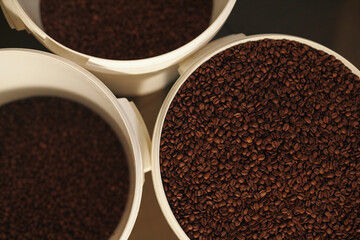 Top view of three white plastic buckets filled with roasted coffee beans