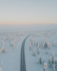 Lapland in the snow, landscapes of pristine snow topped trees and magical golden light in the artic circle. High res photography 
