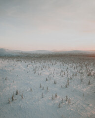 Lapland in the snow, landscapes of pristine snow topped trees and magical golden light in the artic circle. High res photography 
