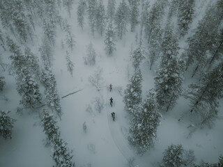 Lapland in the snow, landscapes of pristine snow topped trees and magical golden light in the artic circle. High res photography 