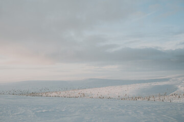 Lapland in the snow, landscapes of pristine snow topped trees and magical golden light in the artic circle. High res photography 