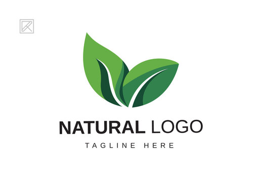 Natural Logo Design