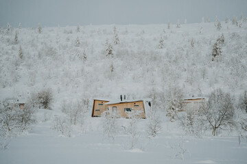 Lapland in the snow, landscapes of pristine snow topped trees and magical golden light in the artic circle. High res photography 