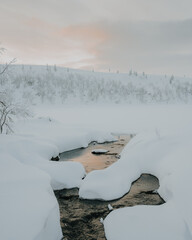 Lapland in the snow, landscapes of pristine snow topped trees and magical golden light in the artic...