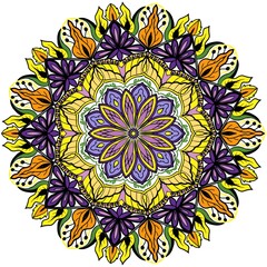 Colorful and elegant mandalas