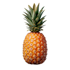 vector illustration of a pineapple for graphic design, branding, and digital resources