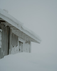 Lapland in the snow, landscapes of pristine snow topped trees and magical golden light in the artic circle. High res photography 