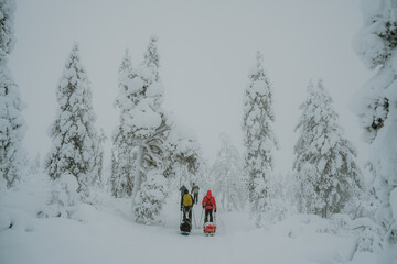 Lapland in the snow 
Beautiful landscape snow