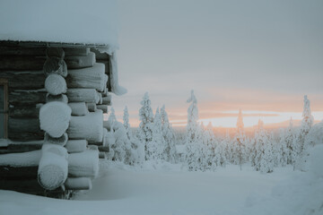 Lapland in the snow 
Beautiful landscape snow