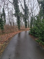 Parc In Winter In Berlin Treptow